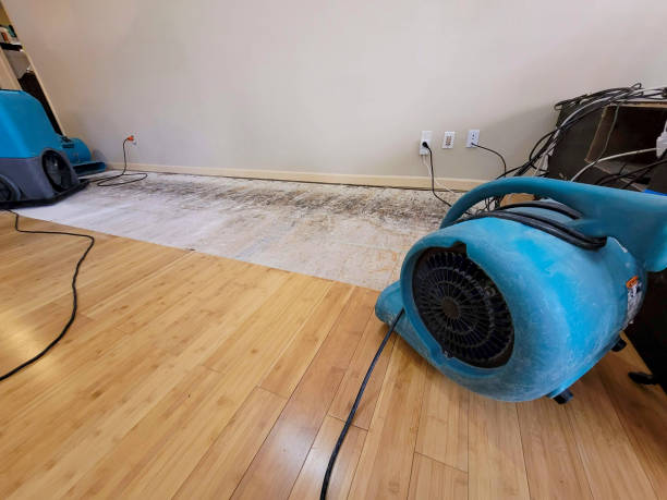 Professional Structural Drying technician working in Ely, MN